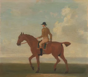 Um dos Quatro Retratos de Cavalos - um cavalo de corrida de castanhas com Jockey Up: a andar para a esquerda; jockey de casaco amarelo choque