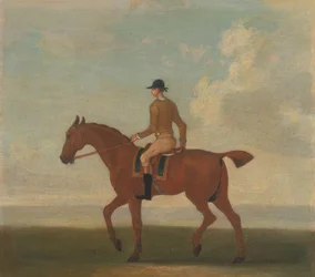 Um de quatro retratos de cavalos - um cavalo de corrida castanho com um jóquei para cima: a caminhar para a esquerda; jóquei com casaco amarelo-bufo