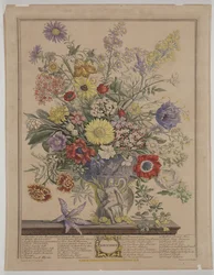 novembro de 1730