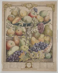 novembro de 1732