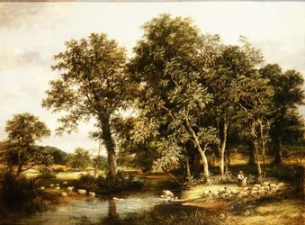 Molho de Ovelhas