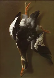 Dead Fowl, c.1815 (óleo sobre tela)