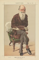 Vanity Fair Men of the Day, No. 33, Selecção Natural