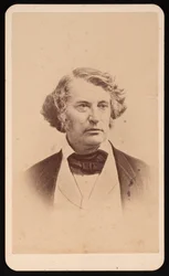 Retrato de Charles Sumner 1811-1874, Antes de 1874.