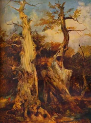 Na floresta, século c19