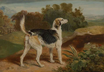 Ravager, Um dos Lambton Hounds