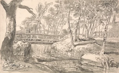 Paisagem fluvial com cascata