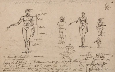 Estudos de Anatomia, Medidas e Escrita