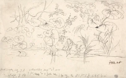 Estudos de Plantas, 2 de Agosto de 1815