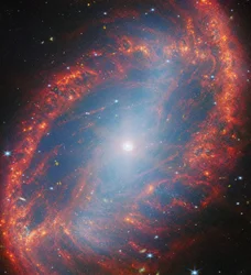 Um olhar atento sobre uma galáxia local (NGC 2566)