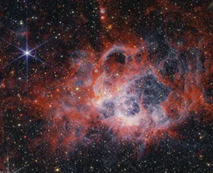 Observando os tentáculos da NGC 604 com o Webb da NASA