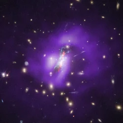 Agregado de Phoenix (Hubble, Chandra, VLA)