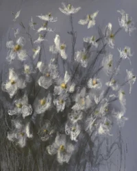 Flores brancas de sonho