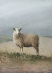 Ovelhas de pastoreio