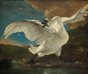 O Cisne Ameaçado O Cisne Ameaçado; Interpretado mais tarde como uma alegoria em Johan de Witt