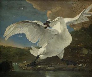 O Cisne Ameaçado, c.1650