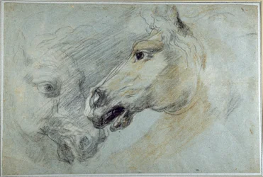 Dois estudos da cabeça de um cavalo (gizes pretos, brancos e castanhos sobre papel azul)