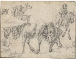 Folha de estudo com figuras, cavalos e burros