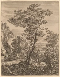 A grande árvore