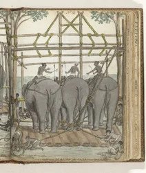 Domar um Elefante Selvagem no Estábulo Temporário, vista traseira