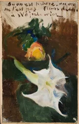 Flores
