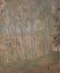 Mariino - Bétulas