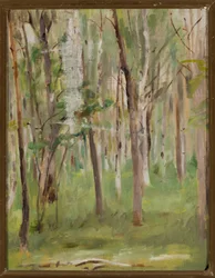 Mariino - Bosque