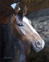 Cavalo à luz do estábulo