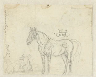 Esboço de um cavalo e vaca