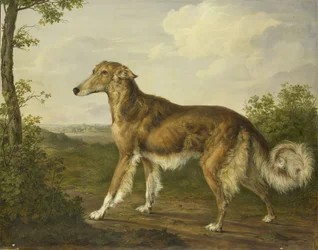 Galgo da Sibéria, c.1825 (óleo sobre tela)