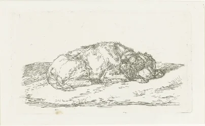 Cão dormindo com a cabeça apoiada nas patas dianteiras