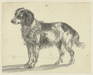 Cão de pé
