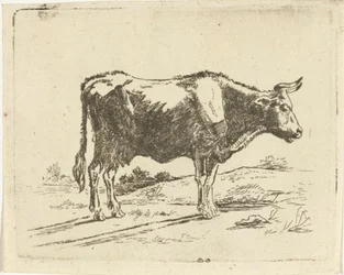 vaca em pé