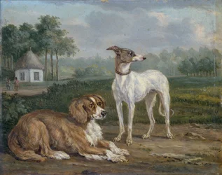 Dois cães