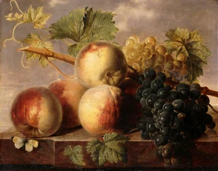 Pêssegos e uvas com uma borboleta-branca-da-couve numa saliência de mármore