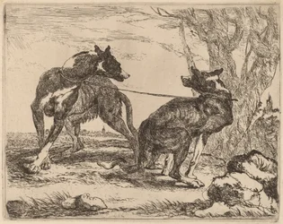 Dois galgos, amarrados e um de frente para o outro
