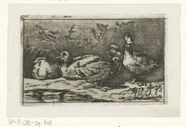 Quatro patos na beira-mar