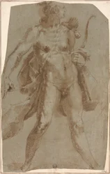 Apolo