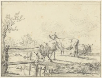 Vacas em um prado
