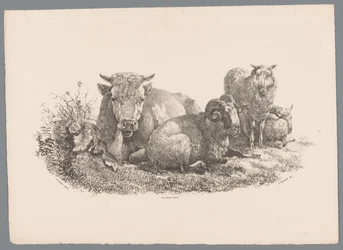 Vaca, carneiro e duas ovelhas Beesten Studien por J. Kobell após Paul Potter Nr. 1 (título da série)