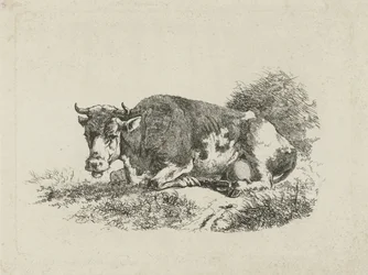 Vaca reclinada