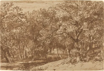 Parque dos cervos