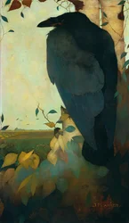 Corvo em uma árvore de vidoeiro