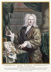 Retrato de Albertus Seba de "Coisas mais ricas em tesouros naturais Nova Description", 1734-1765