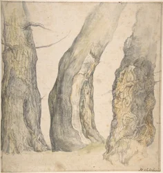 Estudo de três velhas árvores retorcidas, 1660.