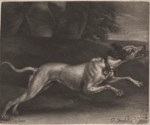 Um cão de corrida