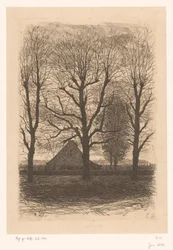 Casa agrícola entre árvores altas, Ewijkshoeve