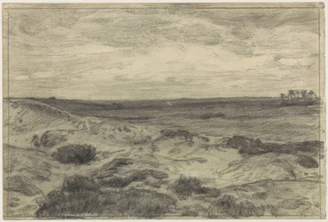Paisagem de charneca perto de Laren