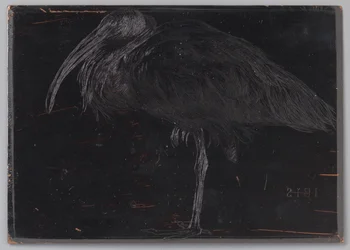 Ibis (título original no objeto)