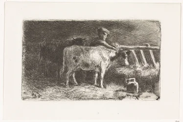 Agricultor entre duas vacas num estábulo num estábulo (versão pequena)